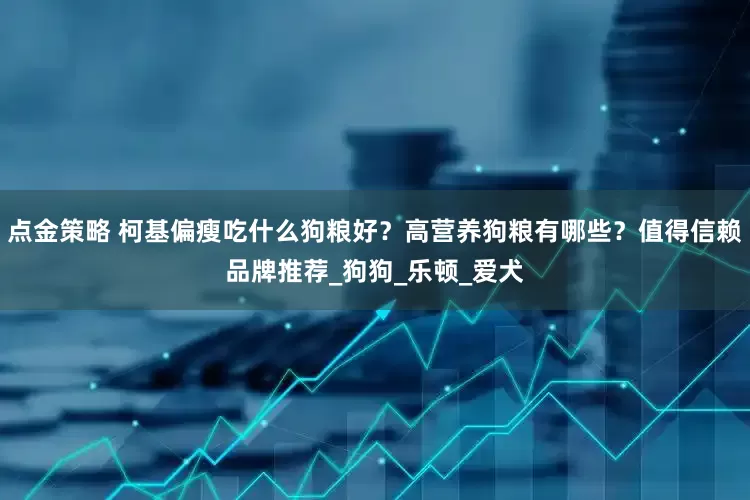 点金策略 柯基偏瘦吃什么狗粮好？高营养狗粮有哪些？值得信赖品牌推荐_狗狗_乐顿_爱犬