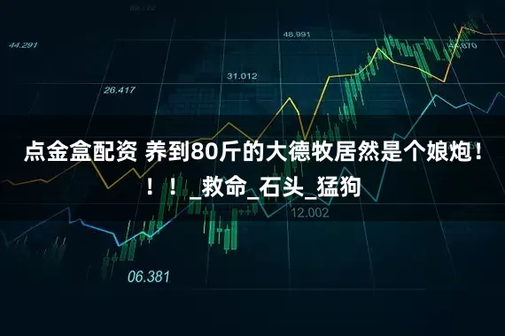 点金盒配资 养到80斤的大德牧居然是个娘炮！！！_救命_石头_猛狗