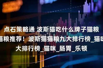 点石策略通 波斯猫吃什么牌子猫粮好？波斯猫猫粮推荐！波斯猫猫粮九大排行榜_猫咪_肠胃_乐顿