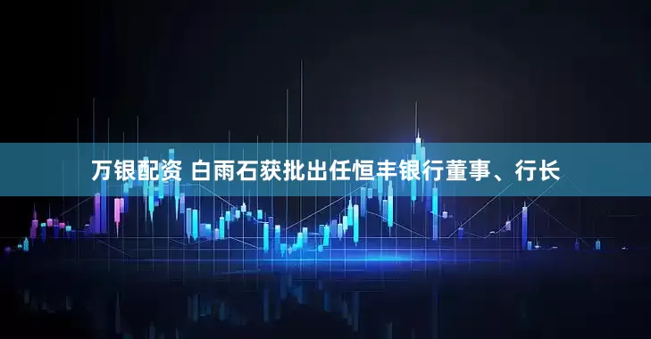 万银配资 白雨石获批出任恒丰银行董事、行长
