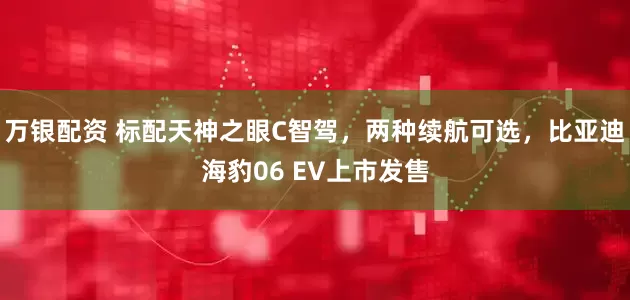 万银配资 标配天神之眼C智驾，两种续航可选，比亚迪海豹06 EV上市发售
