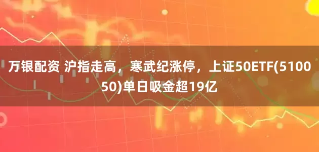 万银配资 沪指走高，寒武纪涨停，上证50ETF(510050)单日吸金超19亿